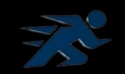 FESTO SPORTS